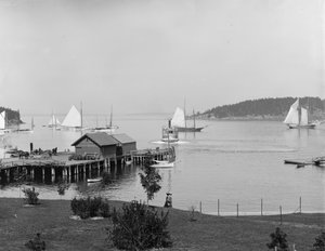 バーハーバー、マウント山メインポートの砂漠島、1901年頃のニューポートハウスの港 作： Detroit Publishing Co.