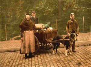 ミルクセラーズ、ベルギー、ブリュッセル、1900年頃 作： Detroit Publishing Co.