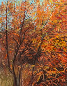 Red Willow 1a, 2021（紙にパステル）