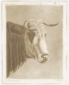 牛の頭 作： Diederik Jan Singendonck