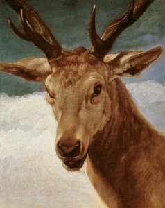 クワガタの頭、1634年 作： Diego Velázquez