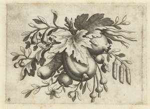 Festoen van Vrutten 旅に役立つ小さなフルーツブック（連載タイトル） 作： Dietrich Krüger (attributed to)