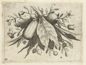 Festoen van Vrutten 旅に役立つ小さなフルーツブック（連載タイトル） 作： Dietrich Krüger (attributed to)