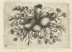 Festoen van Vrutten 旅に役立つ小さなフルーツブック（連載タイトル） 作： Dietrich Krüger (attributed to)