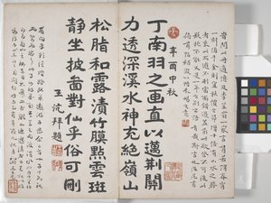 風景画帖（紙にインク） 作： Ding Yunpeng