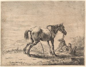 厩舎の近くで馬を飼う 作： Dirck Stoop