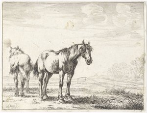 風景の中の 2 頭の馬 馬（シリーズタイトル）
