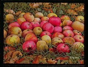 Durnitzhofer Apples、1993 作： Ditz