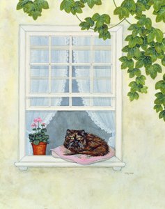 パム猫
