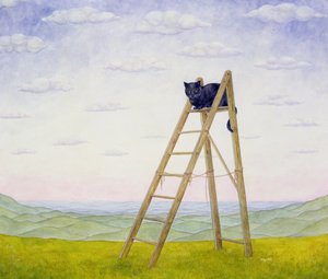 はしご猫 作： Ditz