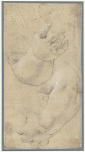 2 人の子供の腕の研究 作： Domenichino