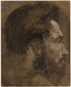 ベッカフーミ - 右横向きの髭を生やした男の頭部 1530-1535年頃 作： ドメニコベッカフミ