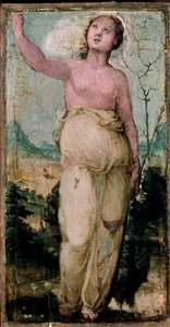 女性像。ドメニコ・ベッカフミ（1486-1551）の絵画。シエナ、コンセルバトリオ