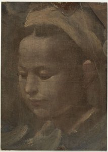 若い女性の頭部 作： Domenico Beccafumi
