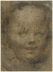 子供の頭 作： Domenico Beccafumi