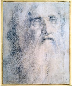 「あごひげのある老人の頭の研究」、c1535 作： Domenico Beccafumi