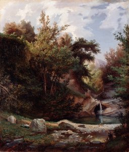 自然の風景、下草、滝のある小川 ドメニコ・カンビアーゾ (1811-1894) 作 1865年頃 薄暗い 43,5x37 cm Genes, Galleria d