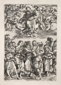 1517年、聖母の被昇天。 作： Domenico Campagnola