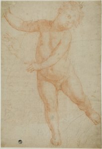 右足で構えるプット（レクト）、垂らした腕のスケッチ（裏面） 作： Domenico Cresti