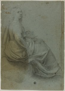 座っている横顔の女性、右へ 作： Domenico Fiasella