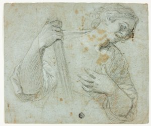 立っている青年の横顔を右に向け、杖を持っている 作： Domenico Fiasella