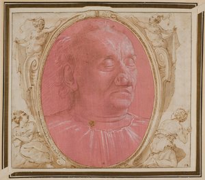 老人の頭 作： Domenico Ghirlandaio