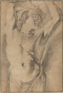 男性ヘルム 作： Domenico Maria Canuti
