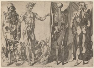 スケルトンとフレイド、c。 1540-1545。 作： Domenico del Barbiere