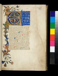 Ms.373。偽キケロ『ヘレニアムへの修辞』他、f.1r.頭文字[E]とアカンサスの葉と花の装飾が施された部分的な縁取り、青地に白の表示大文字でテキストの第1行、1337年頃（羊皮紙 作： Don Silvestro dei Gherarducci