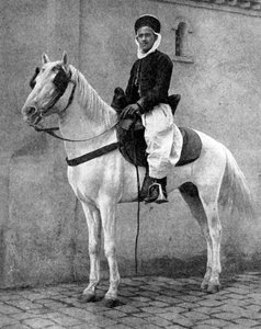 フランス軍のベルベル騎士、1936年。 作： Donald McLeish