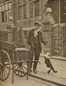 最も確立された取引の1つ：顧客と猫と肉の男、c1935。 作： Donald McLeish