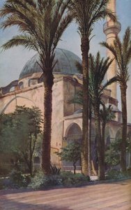 パレスチナ、c1930s 作： Donald McLeish