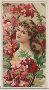 ツツジ：デュークのためのシリーズ花の美しさと花言葉N75からのアトラクション、1892年. 作： Donaldson Brothers