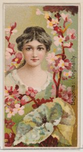 ベゴニア: オリジナリティ、シリーズ「花の美しさと花言葉」N75 for Du...、1892年から。 作： Donaldson Brothers