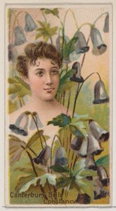 カンタベリーの鐘: コンスタンシー、シリーズ「花の美しさと花言葉 N75...」、1892 年から。