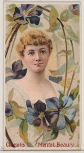 クレマチス: 心の美しさ、シリーズ「花の美しさと花言葉」N75 for...、1892 年から。 作： Donaldson Brothers