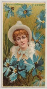 ヤグルマギク: 謙虚、シリーズ「花の美しさと花言葉」N75 for Duk...、1892年より。