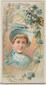 ワスレナグサ、デュークブランのためのシリーズ花の美しさと花言葉N75から...、1892. 作： Donaldson Brothers