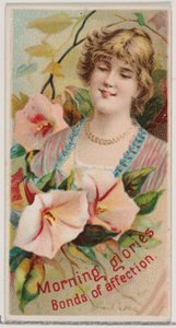 朝顔：愛情の絆、シリーズ「花の美しさと花の言葉」から、1892年。 作： Donaldson Brothers