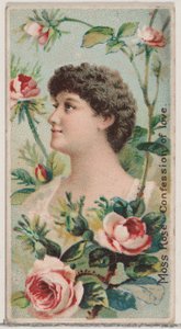 Moss Rose: Confession of Love、シリーズ「花の美しさと花言葉 N7...」、1892 年から。 作： Donaldson Brothers