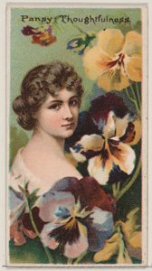 パンジー: D... のためのシリーズ「花の美しさと花言葉」N75 からの思いやり、1892 年。 作： Donaldson Brothers