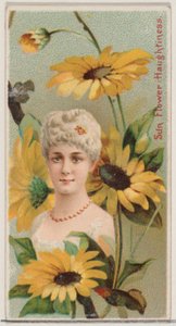 ひまわり：傲慢、シリーズ「花の美しさと花言葉」N75 for ...、1892年から。 作： Donaldson Brothers