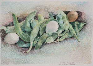 カテリーナおばさんの豆 作： Donatella Merlo