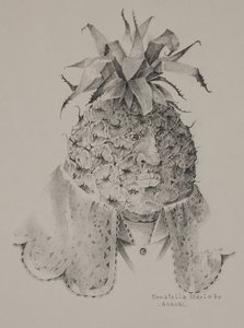 パイナップル 作： Donatella Merlo