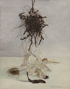 根 作： Donatella Merlo