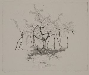 りんごの木 作： Donatella Merlo