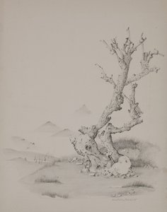 トランク 作： Donatella Merlo