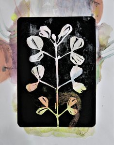 パステル画による植物習作
