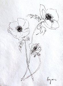 繊細な花のスケッチ 作： Dorothy Fagan