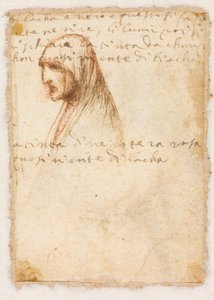 老婦人の胸像長プロファイル、c。 1521。